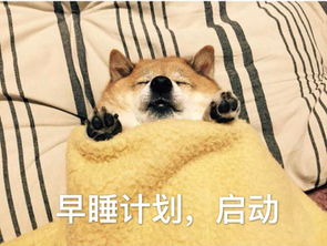 计划通表情包计划通微信表情包计划通qq表情包发表情fabiaoqing.com