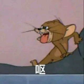 20张猫和老鼠表情包分享
