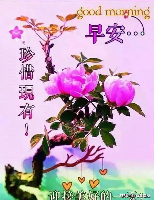 早上好动画表情问候语问候语