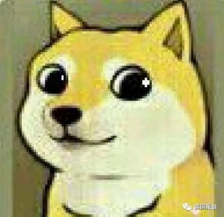 喂,你可是偶像啊