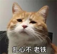 这样的表情包,你会使用吗