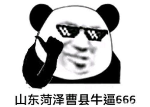 山东菏泽曹县牛皮666表情包一览