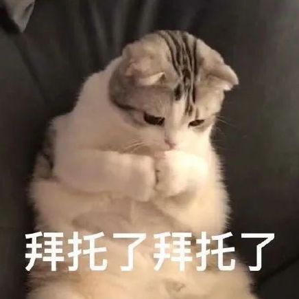 东莞一新车上路就被罚,罪魁祸首竟是