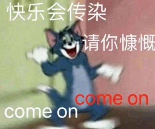 .收藏夹
