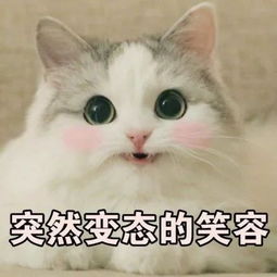 广东不下雪,但我们下施华洛世奇这几天广东美到全国都羡慕