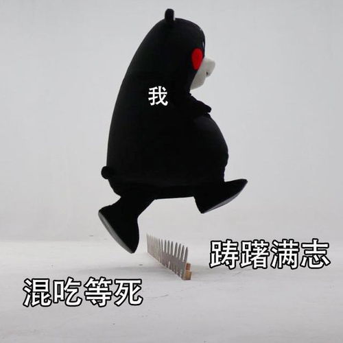 熊本熊跨年表情包合集从垃圾的2019跨到美好的2020