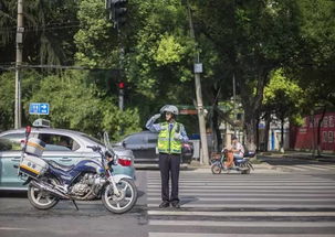 怒吼也能萌萌哒,这位交警帅蜀黍的执法表情包火了