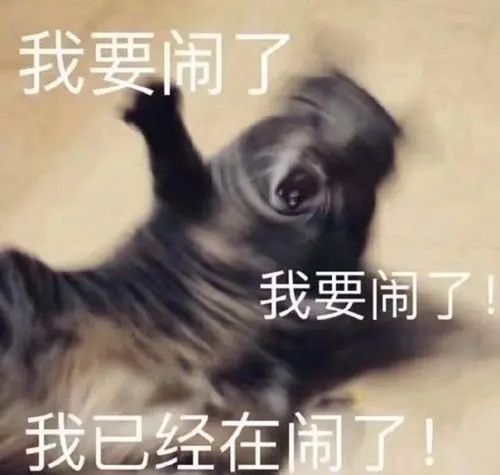 看书套路男朋友的表情包钻木