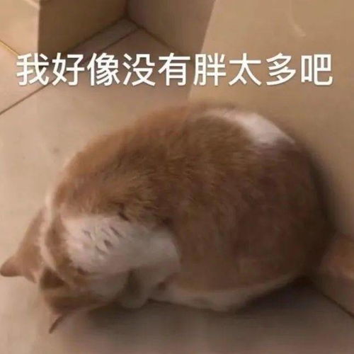 成年人的崩溃往往就是一瞬间眼泪喷了出来