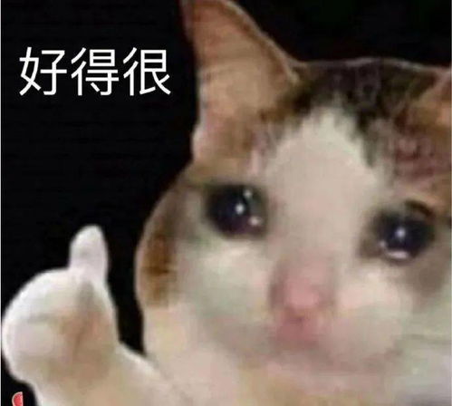 最低1块钱学生党必入的7款收纳神器