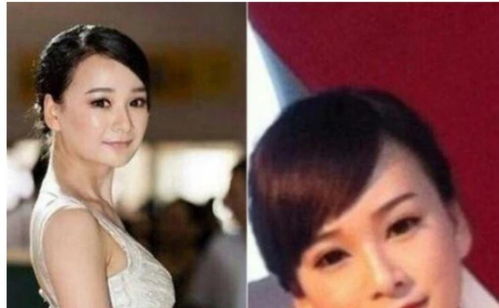 用6年时间整成杨幂,靠三生三世替身大火,却反讽杨幂模仿她