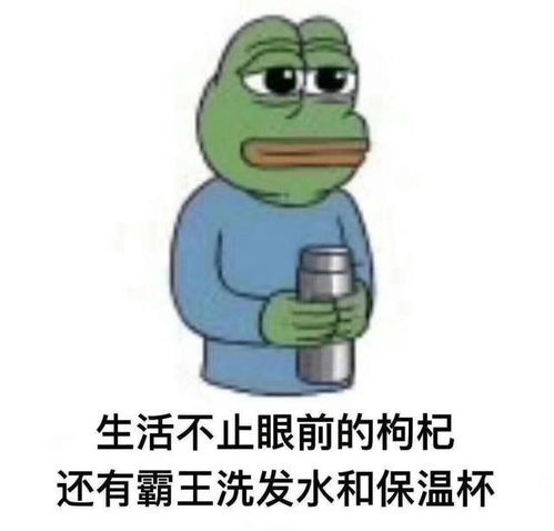岂不美哉表情包ki