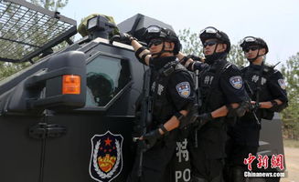 济南特警黑豹突击队反恐训练女兵巾帼不让须眉组图