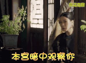 快手动态表情包视频延禧攻略