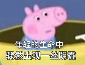 虎啸龙吟夏侯徽上线,网友提前日夜追凶,她死谁手