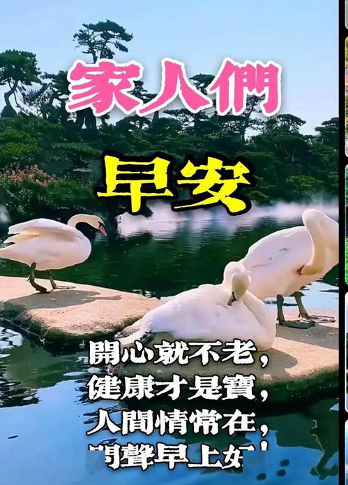 早上好表情包 风景问候