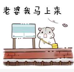 抖音哄老婆专用表情包哪里有老婆永远是对的表情包分享
