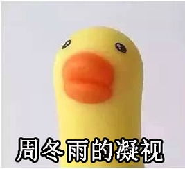 小黄鸭表情包