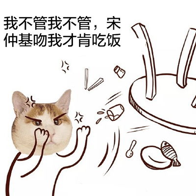 猫咪表情包动态宋仲基