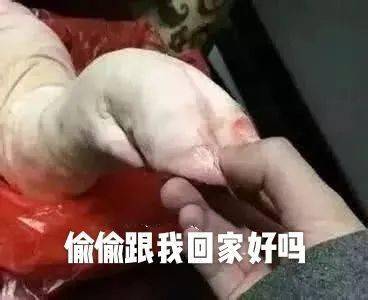 猪被偷走了表情包
