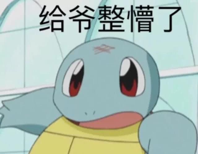表情精灵宝可梦比可达鸭还火的表情包就是他了,杰尼龟了解一下...表情