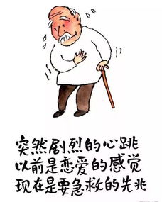 2这就是我们老了的样子太真实,看完泪奔