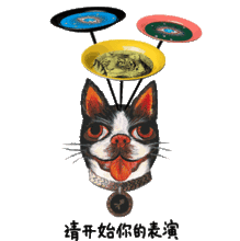 限定iapm倾情呈现gucci狗年特别系列