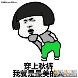穿上秋裤你就是最美的人表情包各种花样秋裤穿起来表情包下载乐游网游戏下载