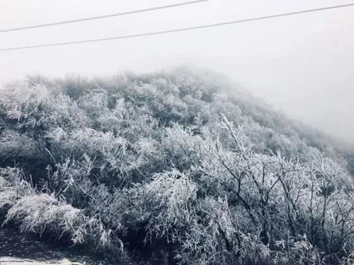 贵州好多地方下雪了雪景大pk,哪家最漂亮附图