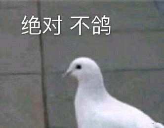 红色警戒2百科全书5恐怖分子