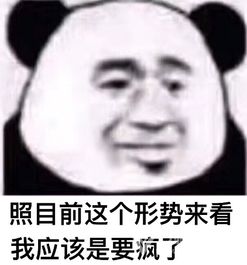 格局打开表情包熊猫
