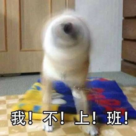 摇起来表情包表情包