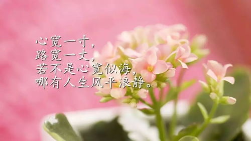 加油奥力给表情包早安心语