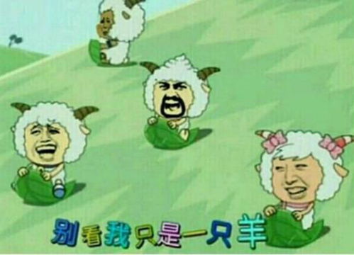 动漫表情包精选没想到你也是个六学家