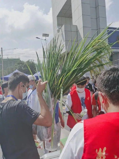聊天千万别随便叫人美女哈哈哈哈哈哈结局是给我笑不活了...