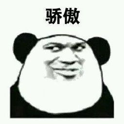 骄傲表情包