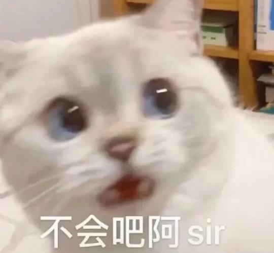 北平的相册可爱的表情包就是坠吊的