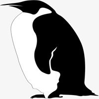 黑白企鹅表情包微信头像图片大全