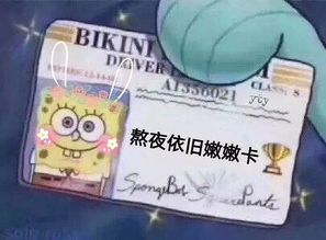表情包多的同学,人缘总不会太差太准了