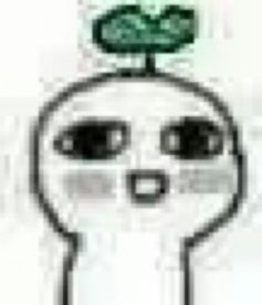 有一种优质稻