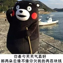 裘英俊教你如何机智的提醒别人还钱