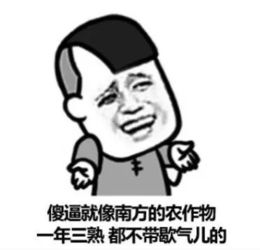 求这个表情包的名字