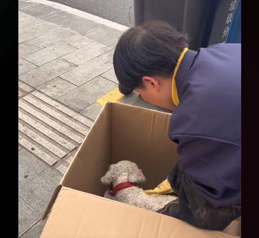 狗狗断腿后被人丢进垃圾桶,躺在里面不叫不闹,眼神让人破防了