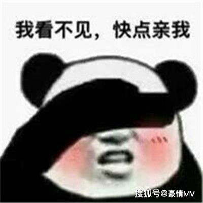 热门的经典微信表情图片2022群聊斗图表情包大全