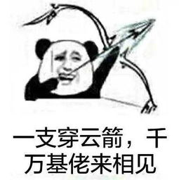段友心里有b数表情包一支穿云箭,千万段友来相见内涵段子经典表情包高清无水印极光下载站