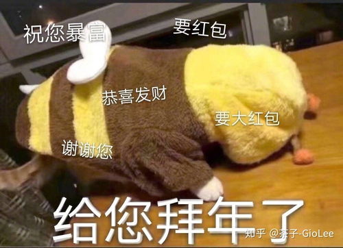 2020春节,有什么有趣的拜年文案