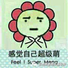 拔头发表情包形状