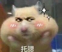 各种各样的表情包表情包