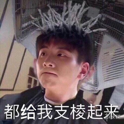 支棱起来表情包有哪些支棱起来表情包大全