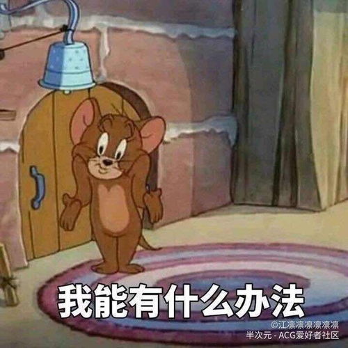 当猫和老鼠看到自己的表情包时十九